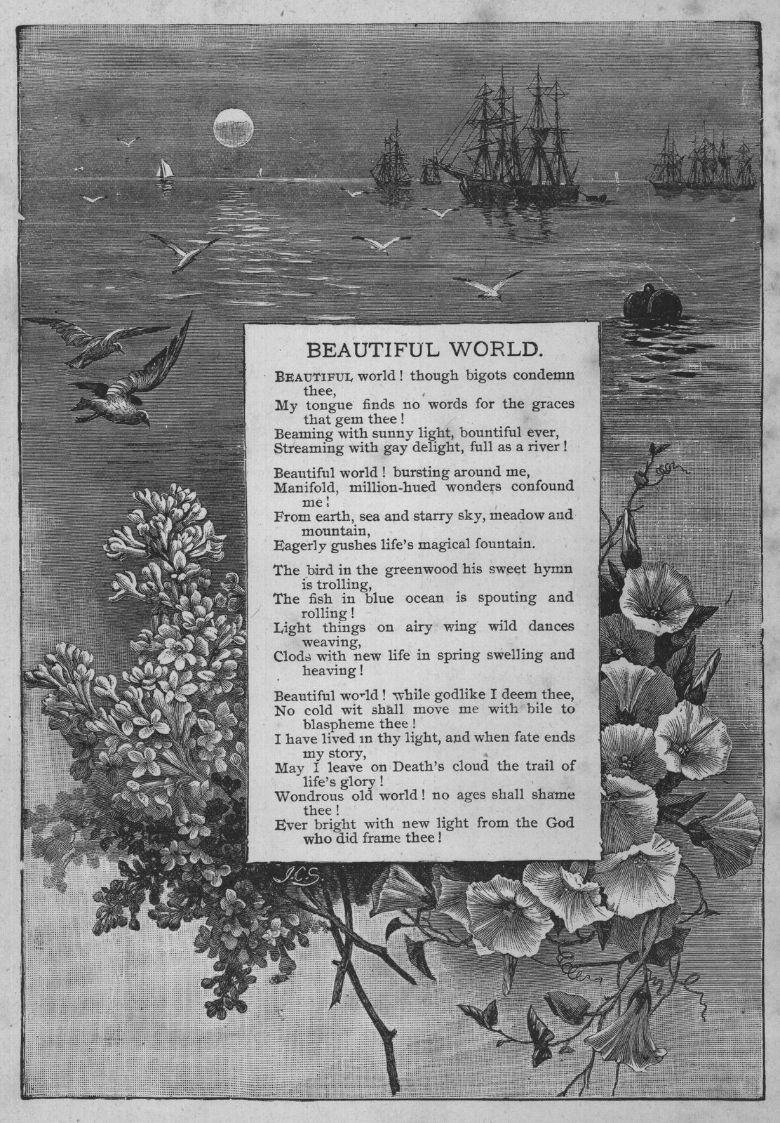 Beautiful World — from Museum of Wonders (1900)