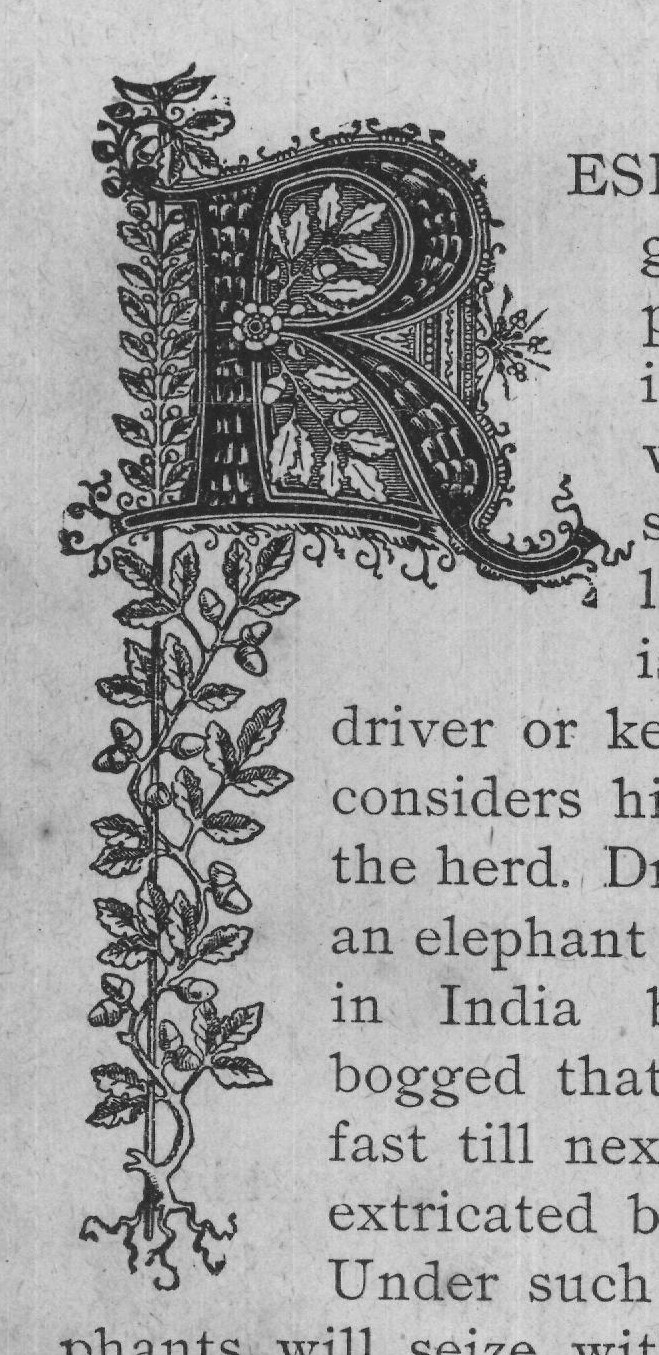 phants will seize with their trunks any placing her trunk in his hand, and by