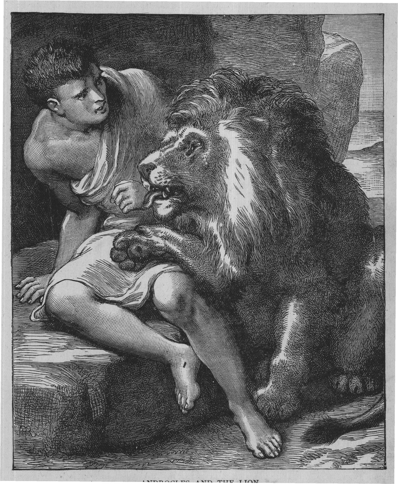 ANDROCLES AND THE LION.