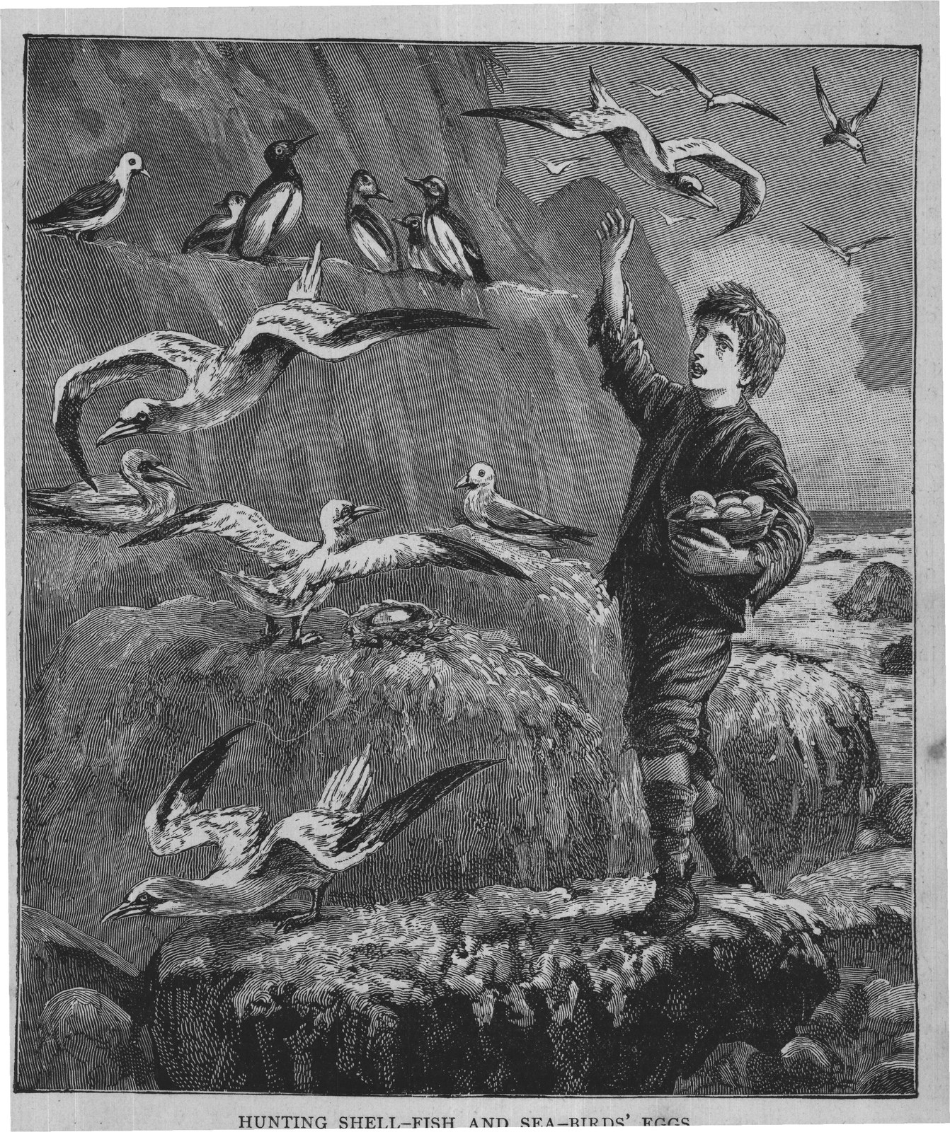 HUNTING SHELL-FISH AND SEA-BIRDS' EGGS.