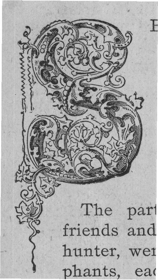 phants, each animal having, of wild animal was evidently close at hand,