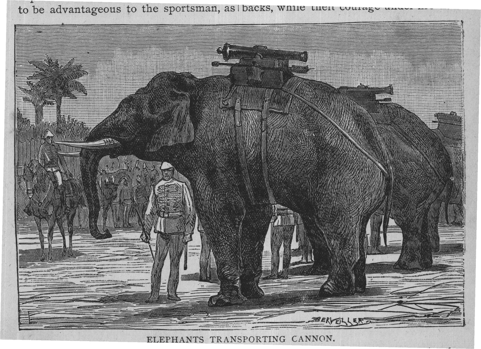 ELEPHANTS TRANSPORTING CANNON.