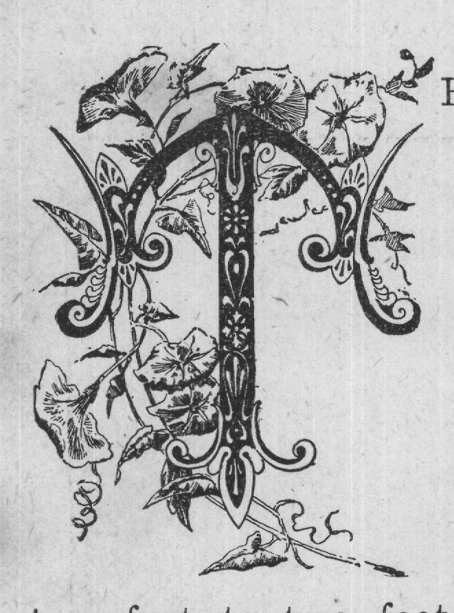 that of the tail from either discharged his piece, the other