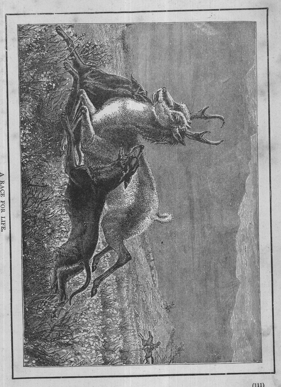 A Race for Life — from Museum of Wonders (1900)