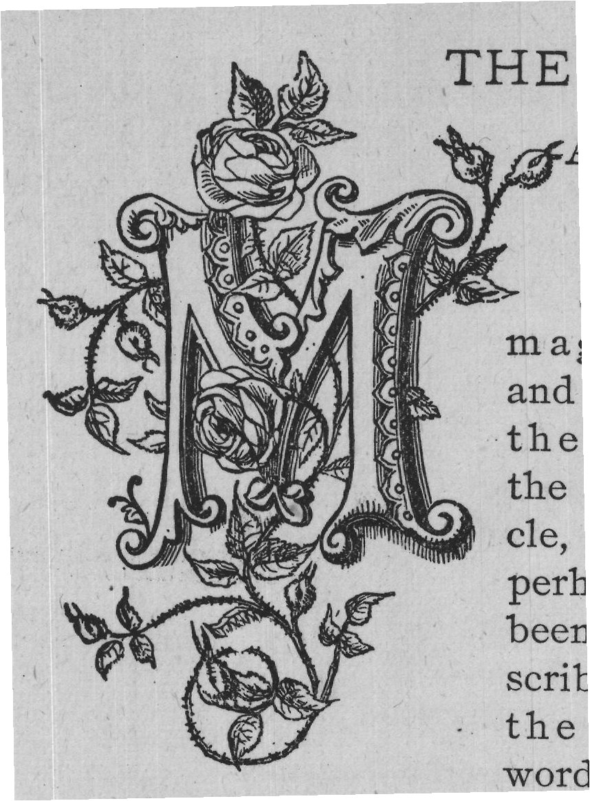 words from the heterogeneous mass, present to the eye