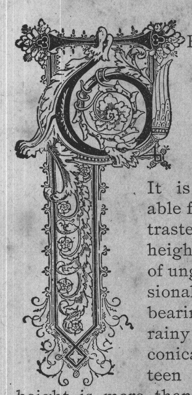 teen to twenty feet in of the ashes, from which they manufac-