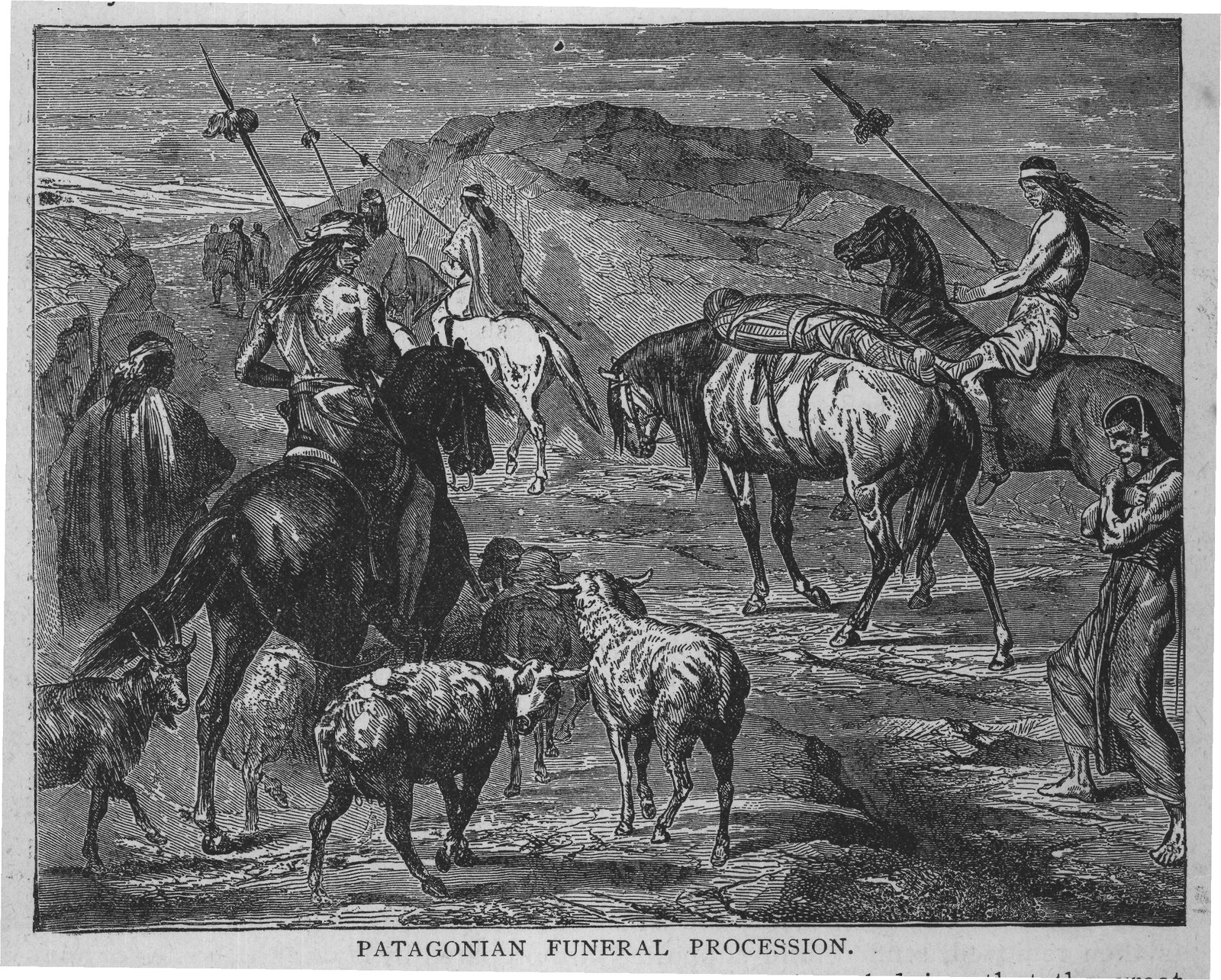 PATAGONIAN FUNERAL PROCESSION.