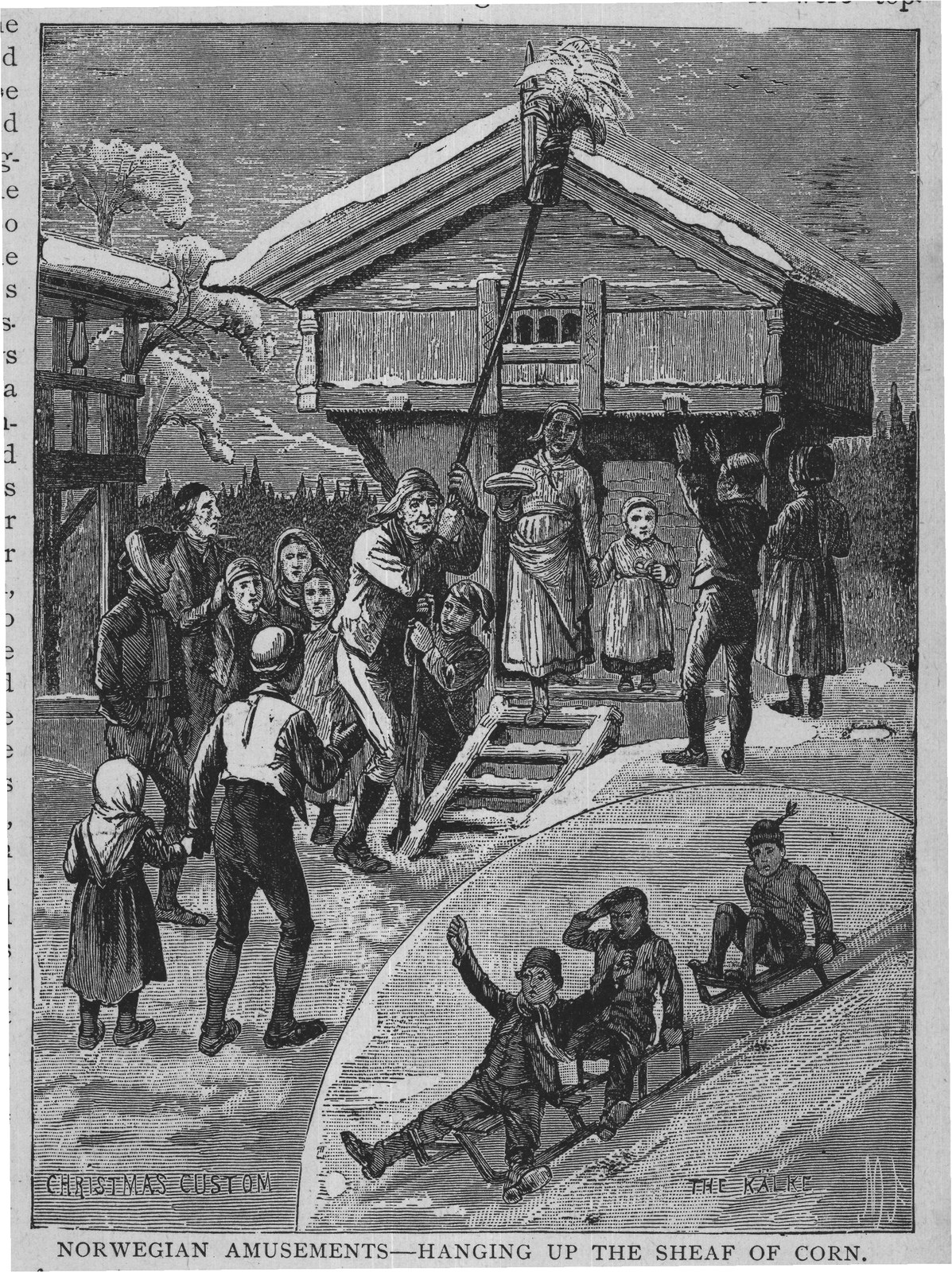 protect- NORWEGIAN AMUSEMENTS-HANGING UP THE SHEAF OF CORN.