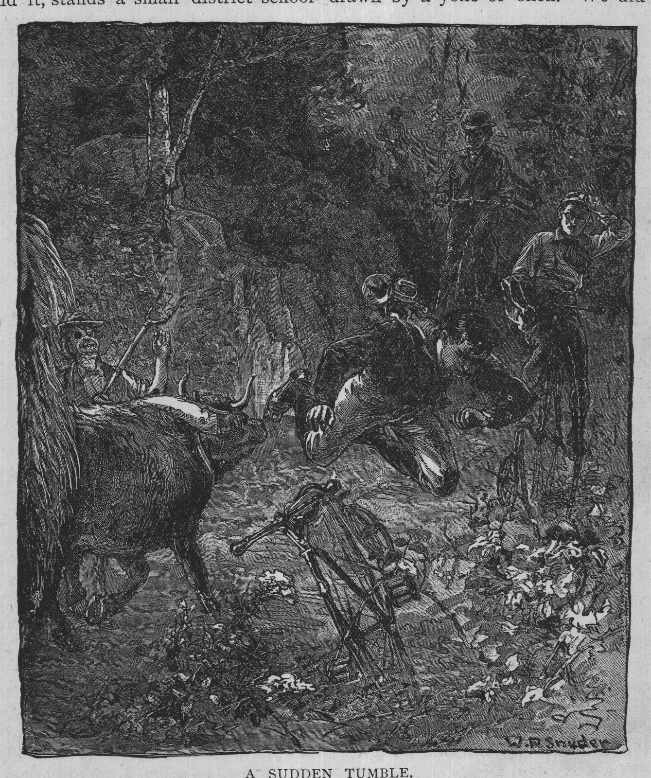 A SUDDEN TUMBLE.