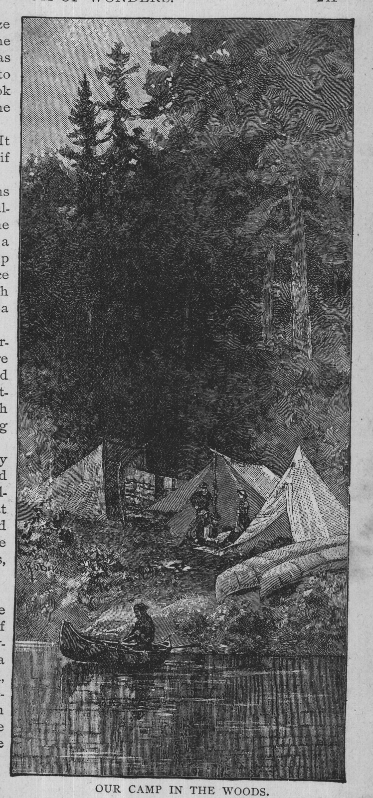 OUR CAMP IN THE WOODS.