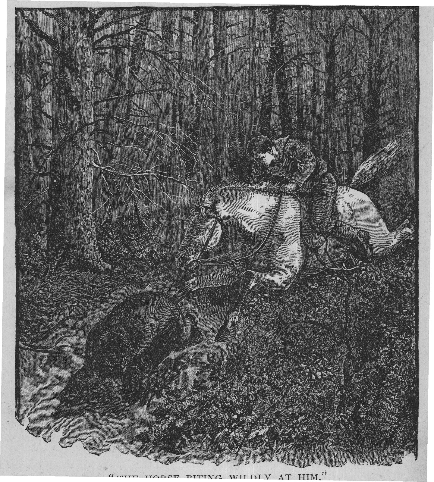 "THE HORSE BITING WILDLY AT HIM."