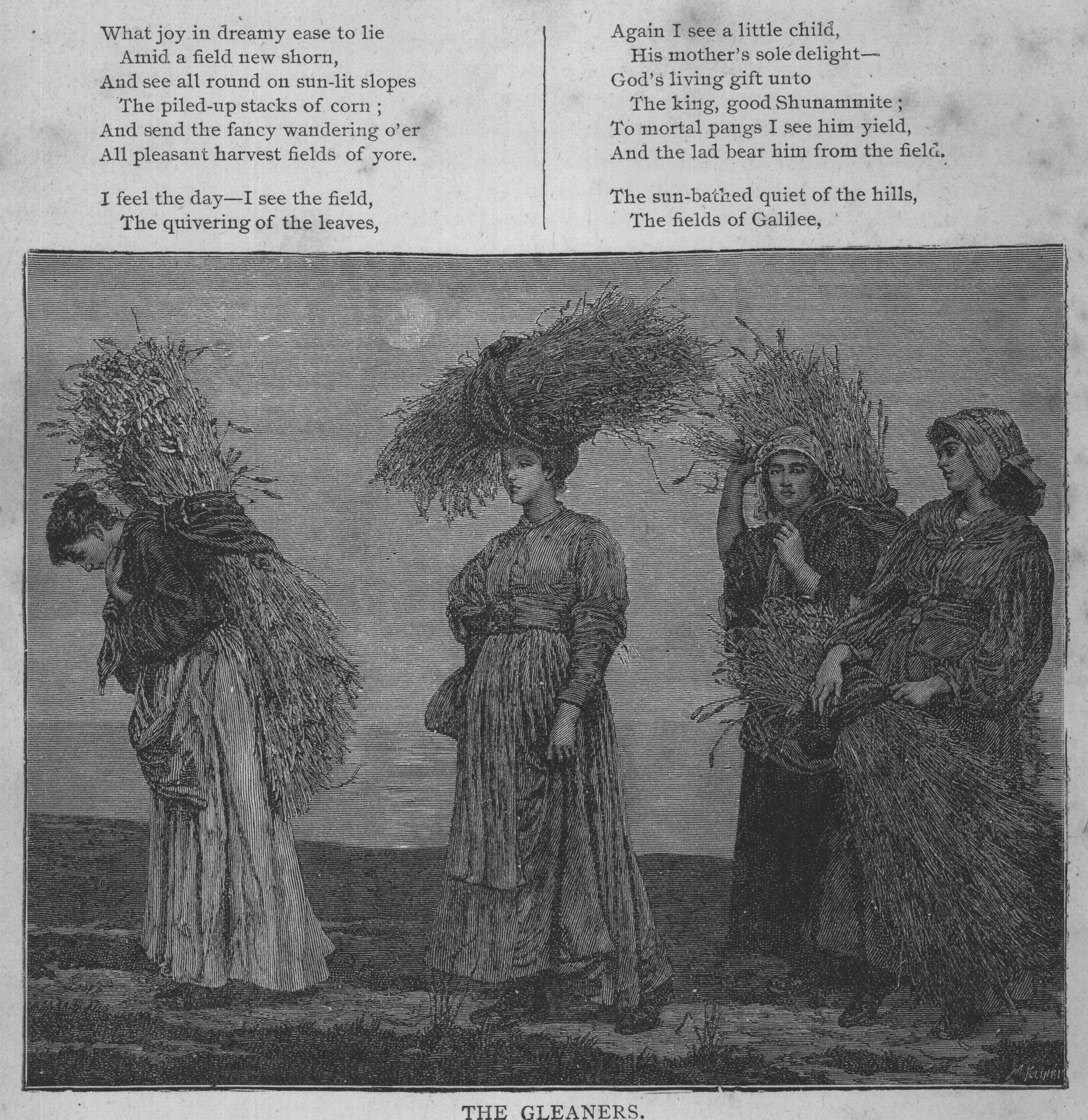THE GLEANERS.
