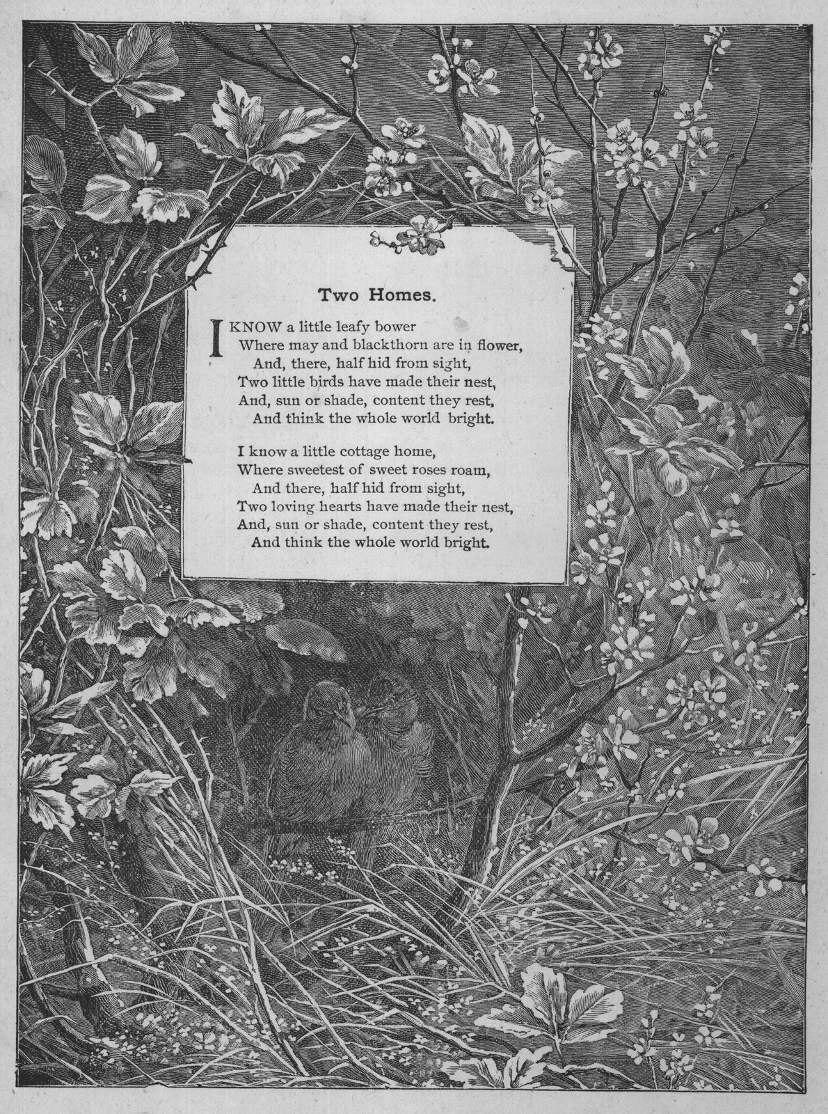 Gathering Roses in Roumelia — from Museum of Wonders (1900)