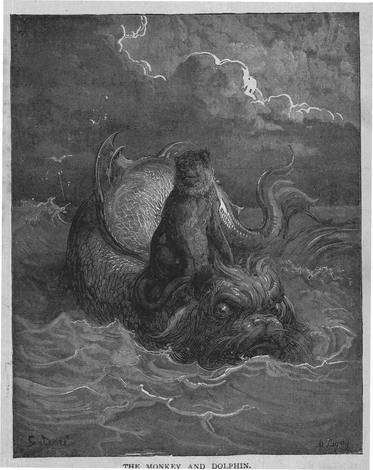 THE MONKEY AND DOLPHIN.