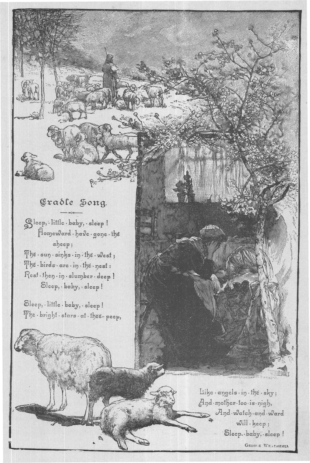 S. Coley — from Museum of Wonders (1900)