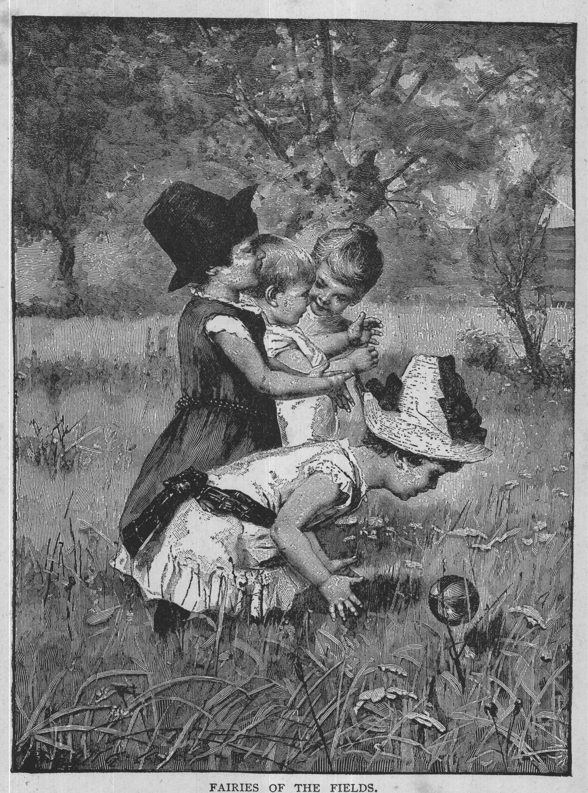FAIRIES OF THE FIELDS.