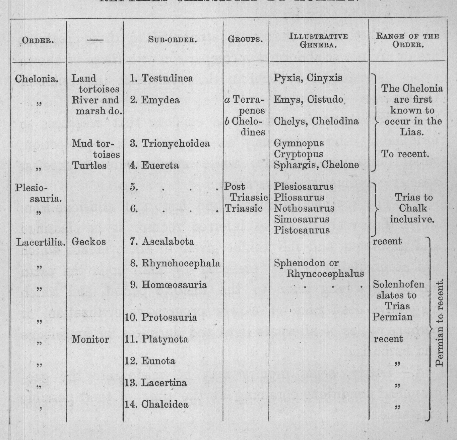 REPTILES CLASSIFIED BY HUXLEY.