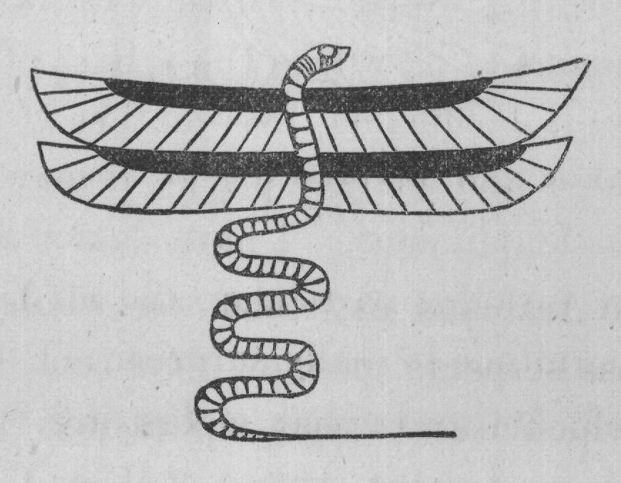 FIG. 35. EGYPTIAN FOUR-WINGED SERPENT, CHANUPHIS, OR BAIT. (From " Serpent