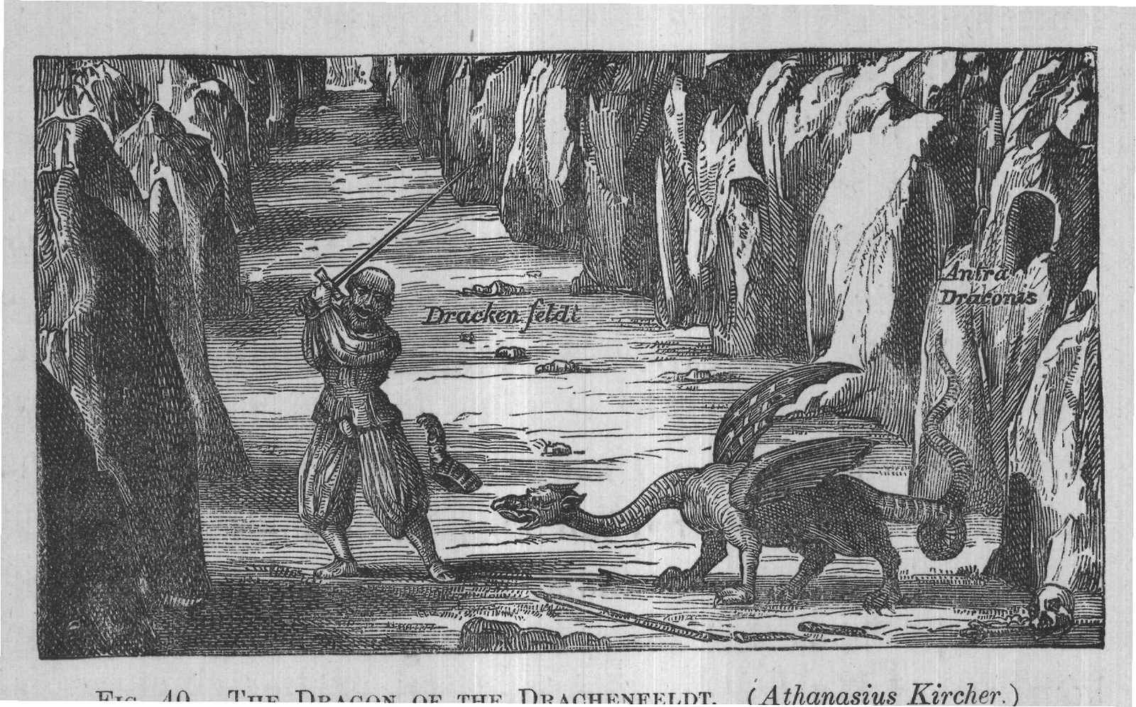 FIG. 40. THE DRAGON OF THE DRACHENFELDT. (Athanasius Kircher.)