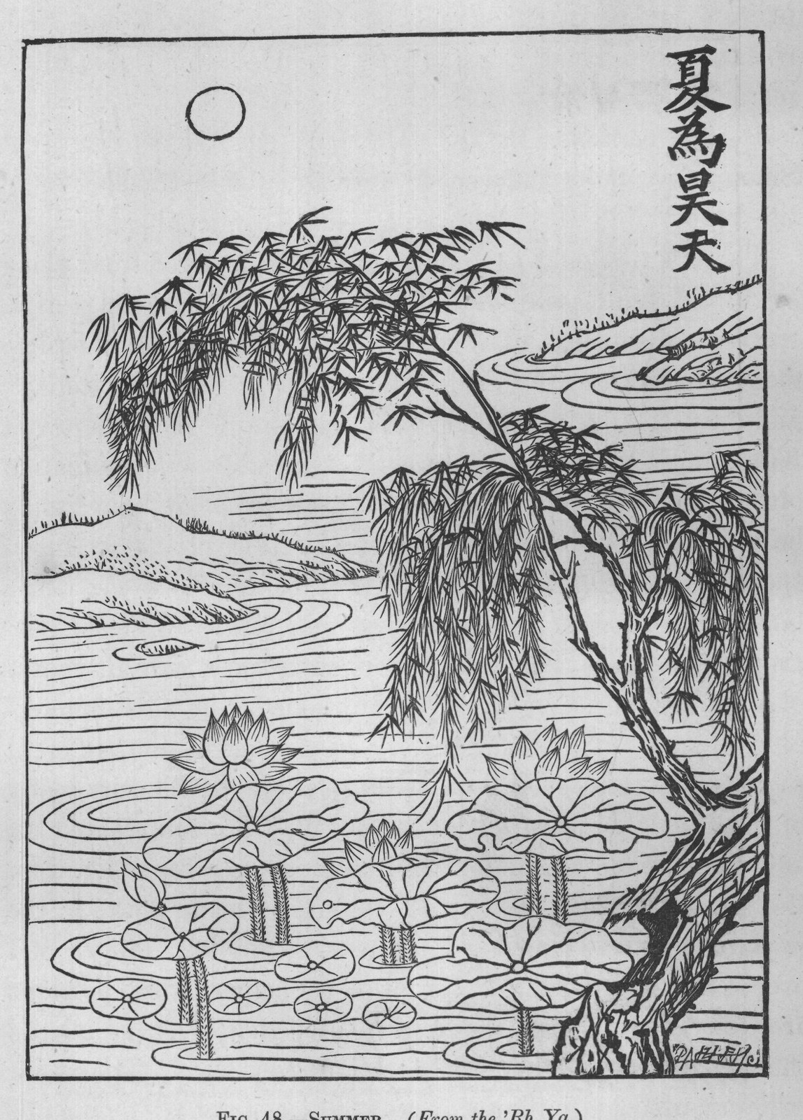 FIG. 48. SUMMER. (From the 'Rh Ya.)