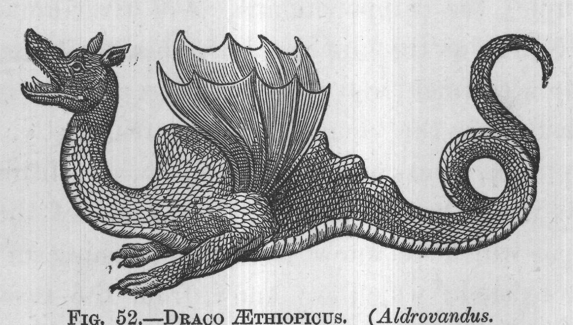 FIG. 52. DRACO ETHIOPICUS. (Aldrovandus.