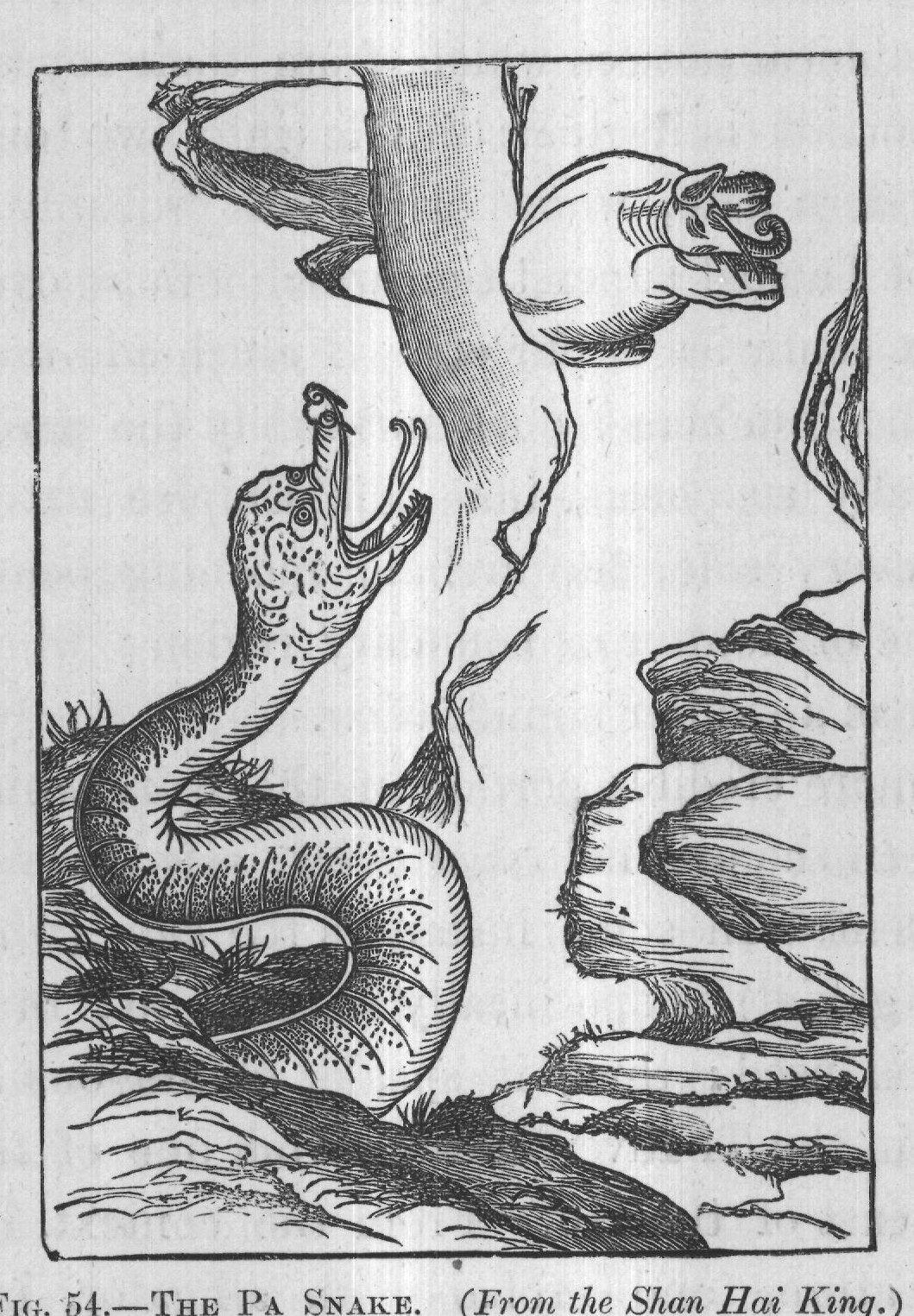 FIG. 54. THE PA SNAKE. (From the Shan Hai King.)