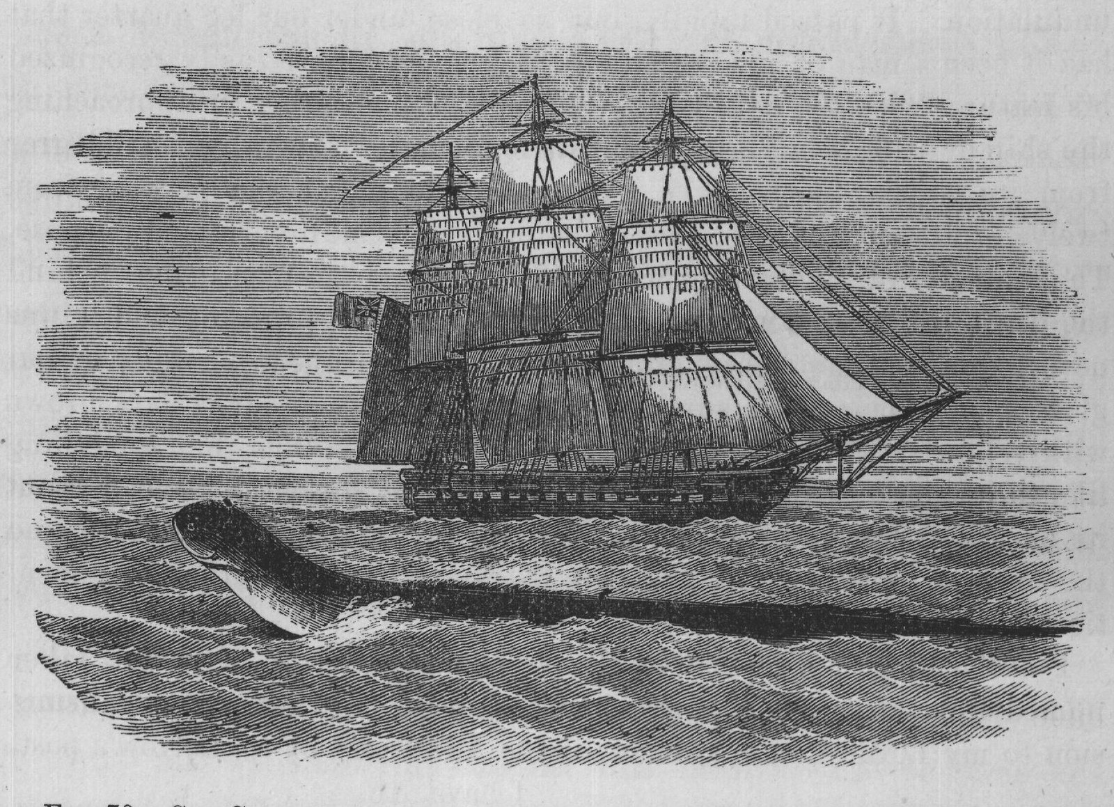 FIG. 70.-SEA-SERPENT SEEN BY THE CREW OF H.M.S. "DÆDALUS," IN 1848.