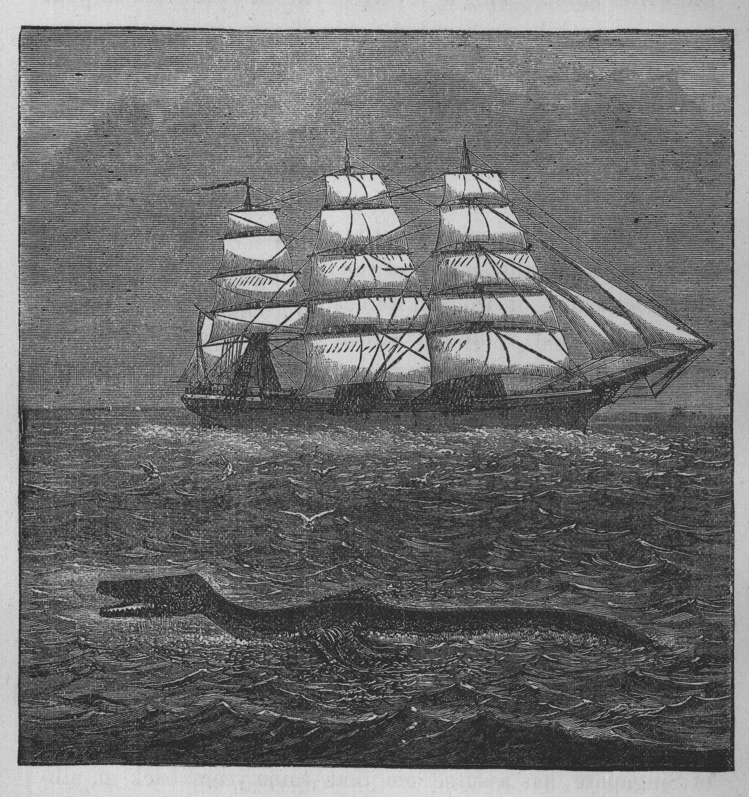 FIG. 71.-SEA-SERPENT SEEN FROM THE SHIP "SACRAMENTO," JULY 30, 1877.