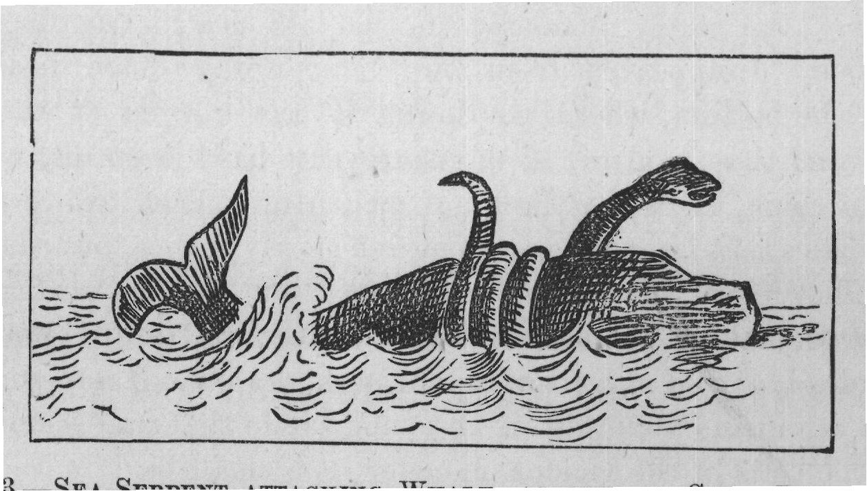 FIG. 73.-SEA-SERPENT ATTACKING WHALE, AS SEEN BY CAPT. DREVAR,
