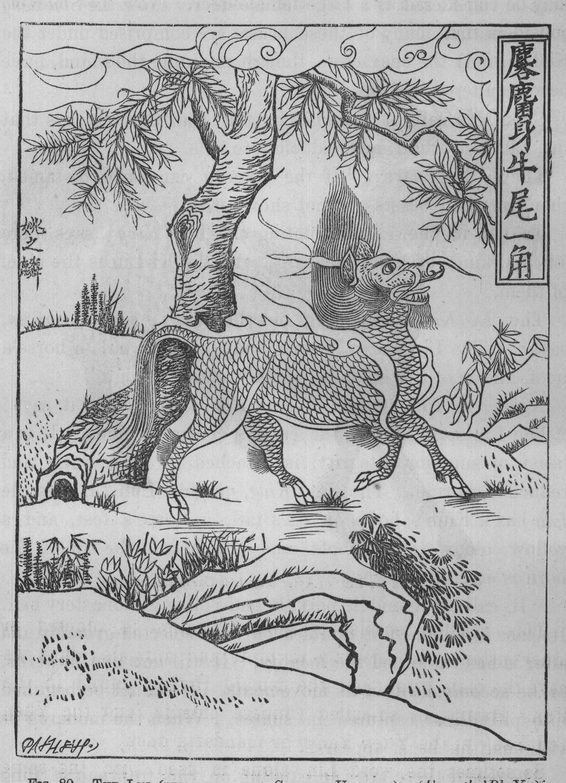 FIG. 80. THE LIN (FEMALE OF THE CHINESE UNICORN). (From the 'Rh Ya.)