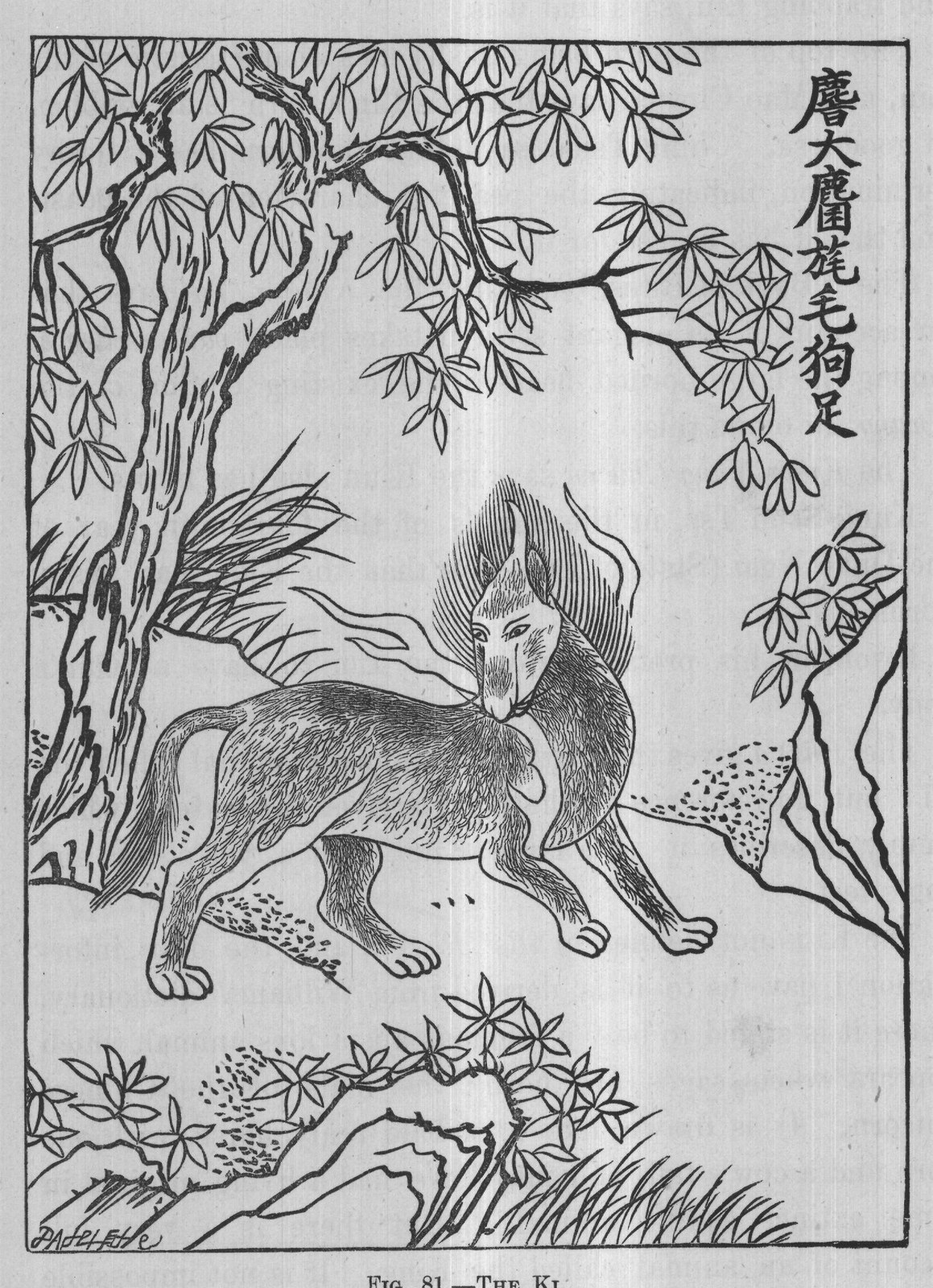 FIG. 81. THE KI.