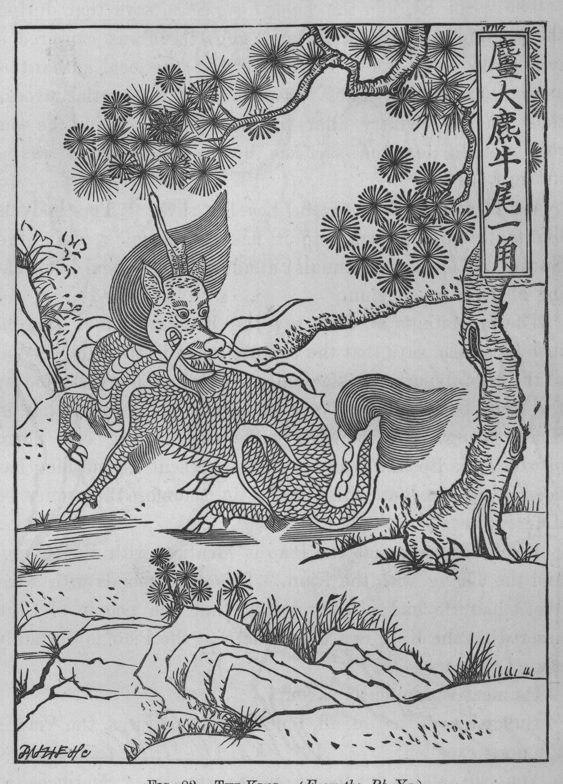 FIG. 82. THE KING. (From the Rh Ya.)