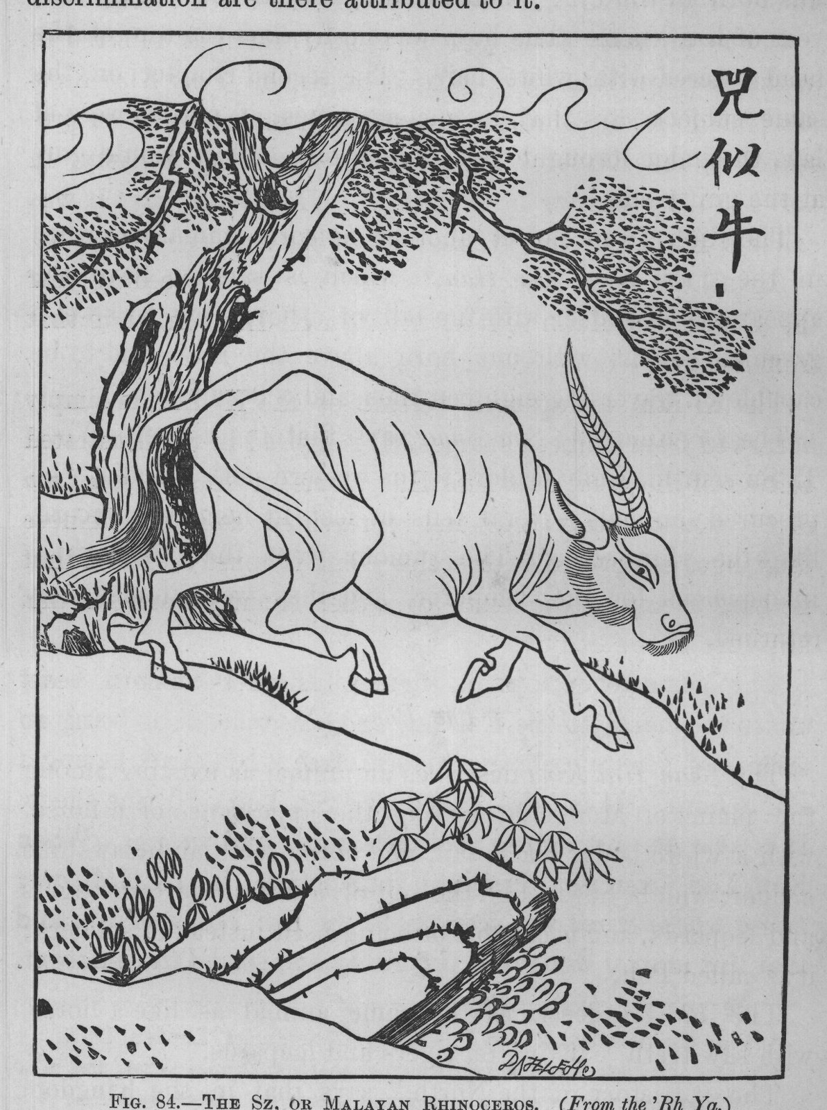 FIG. 84. THE SZ, OR MALAYAN RHINOCEROS. (From the 'Rh Ya.)