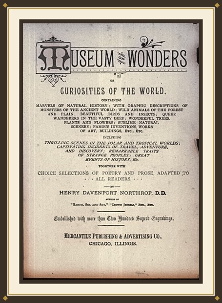 Museum of Wonders