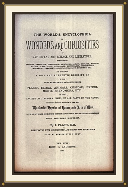 Wonders and Curiosities