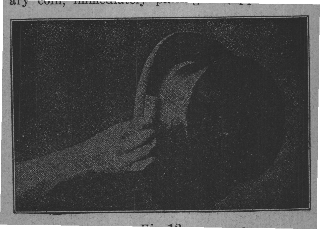 Fig. 12.