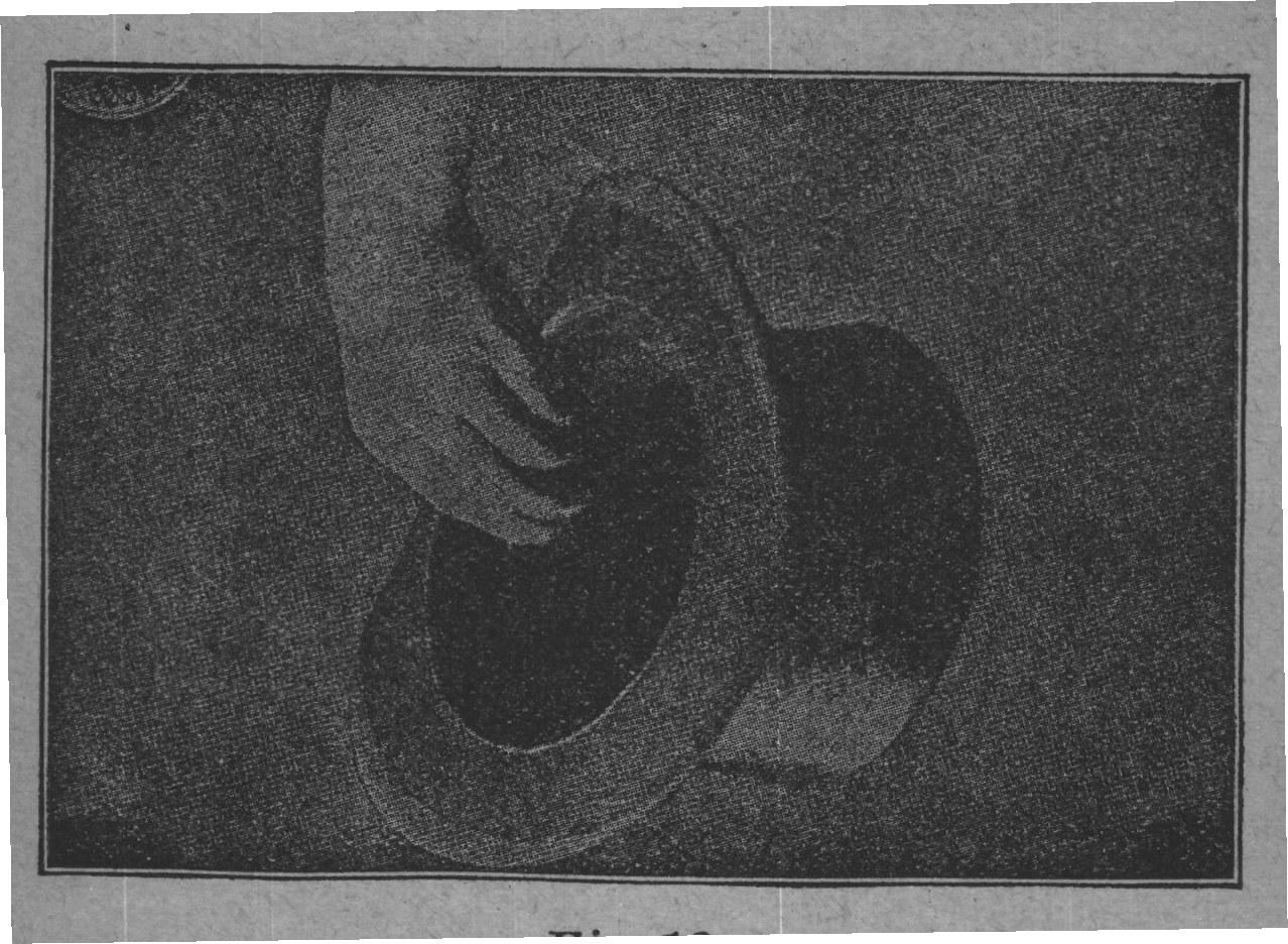 Fig. 13.