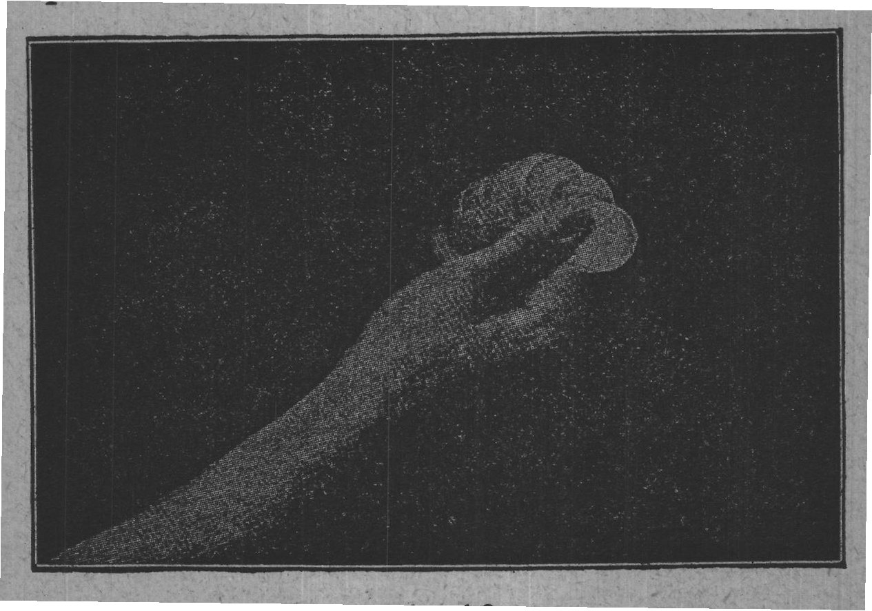 Fig. 16.