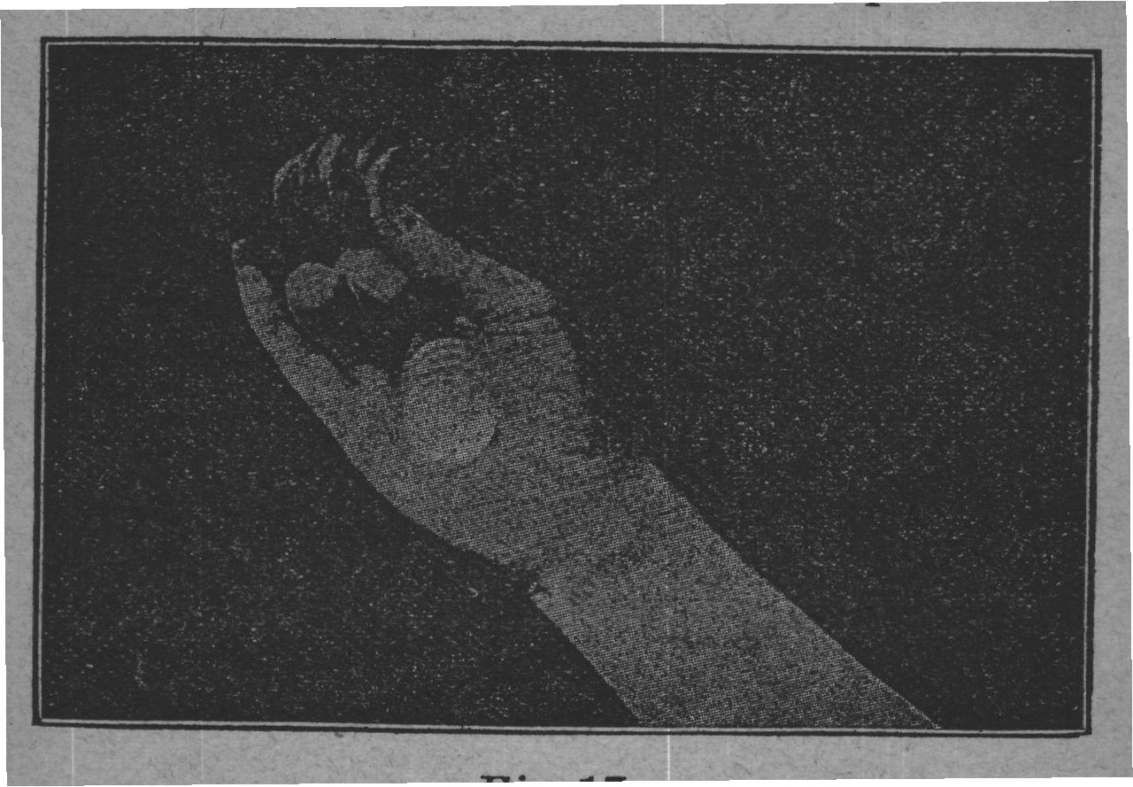 Fig. 17.