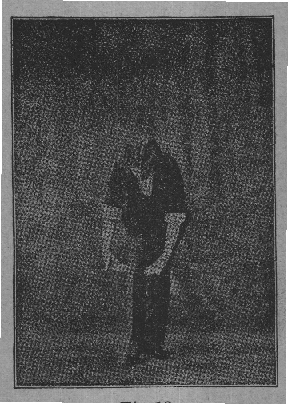 Fig. 18.