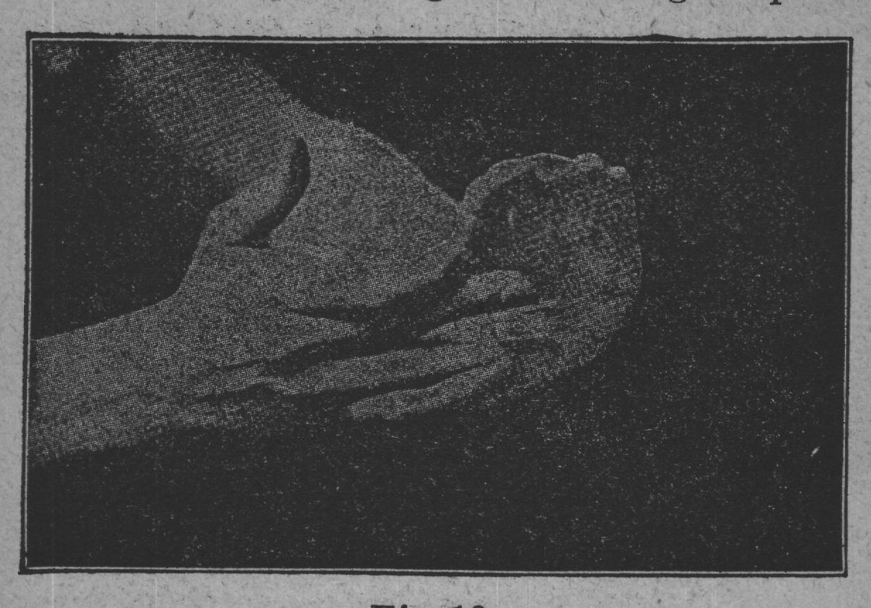 Fig. 19.
