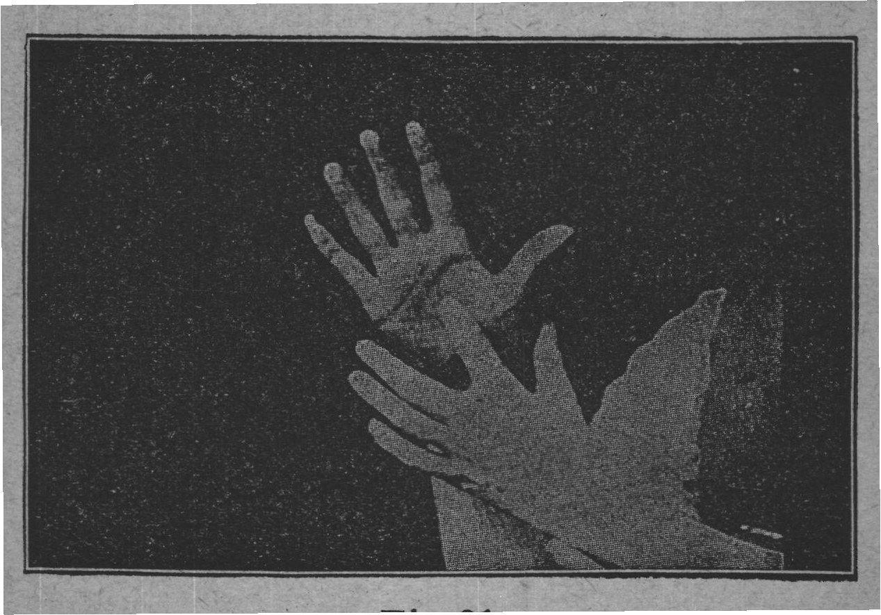 Fig. 21.