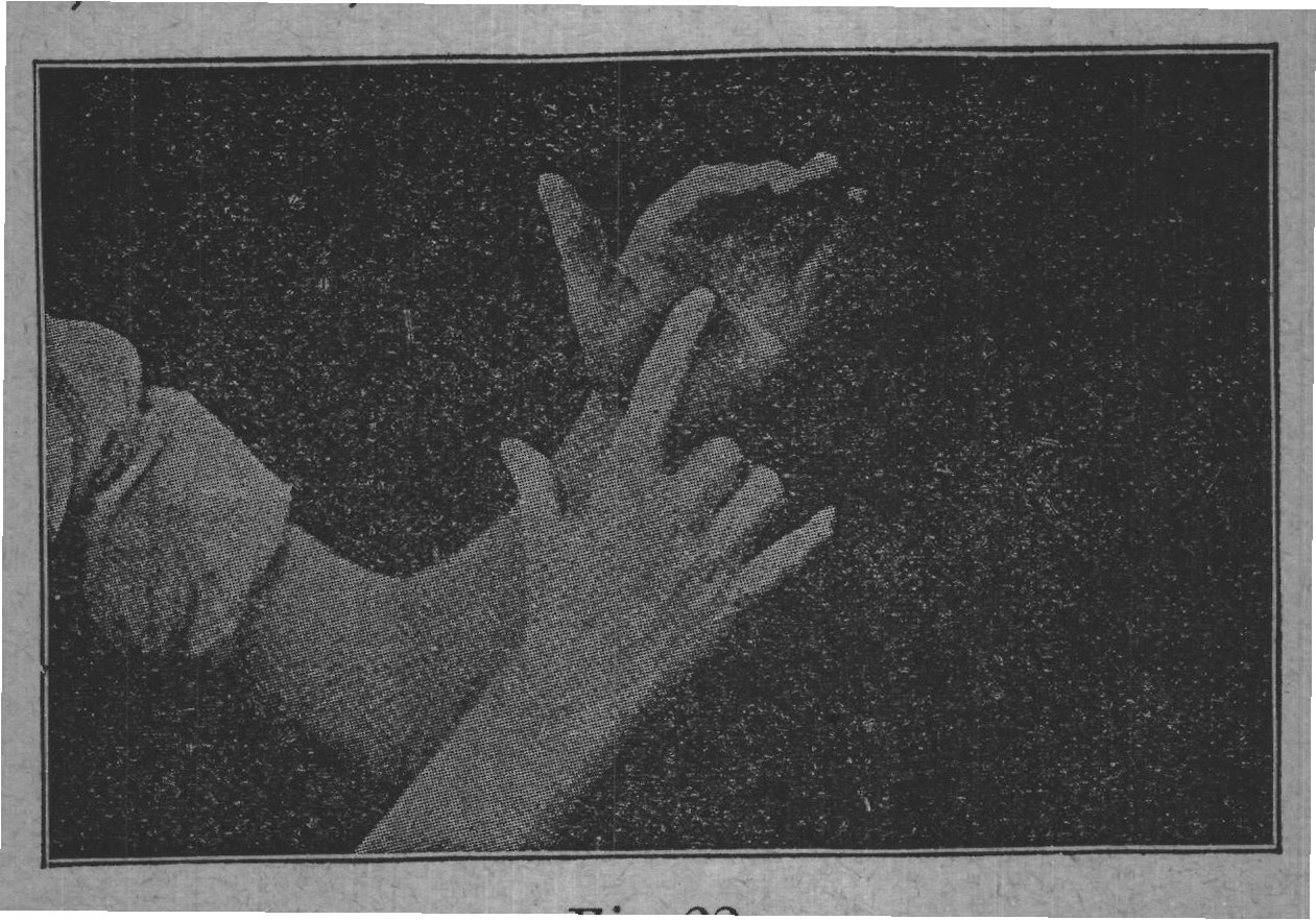 Fig. 22.
