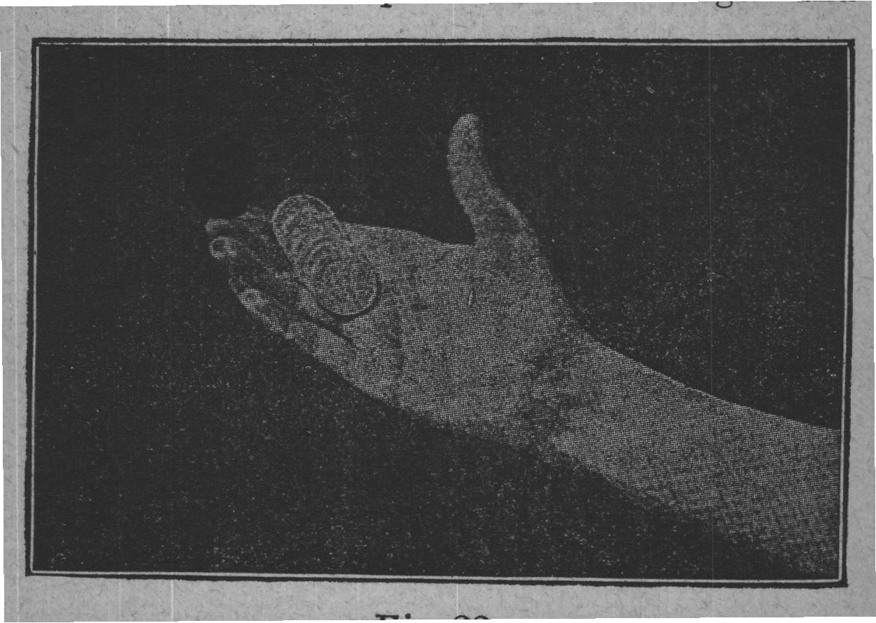 Fig. 23.