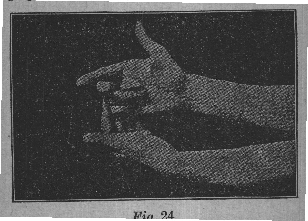 Fig. 24.
