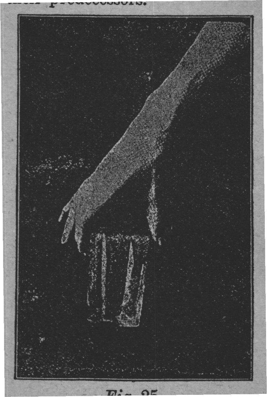 Fig. 25.