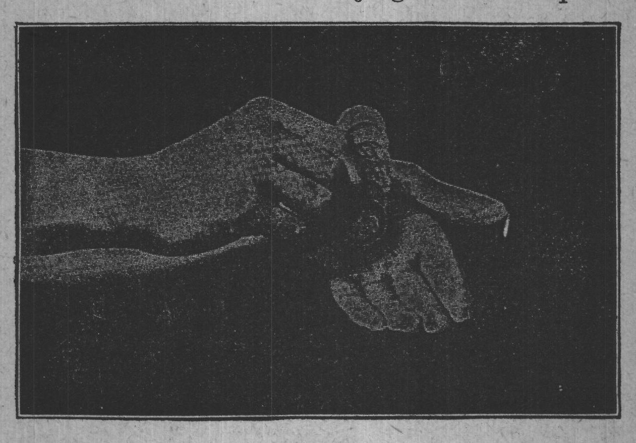 Fig. 27.