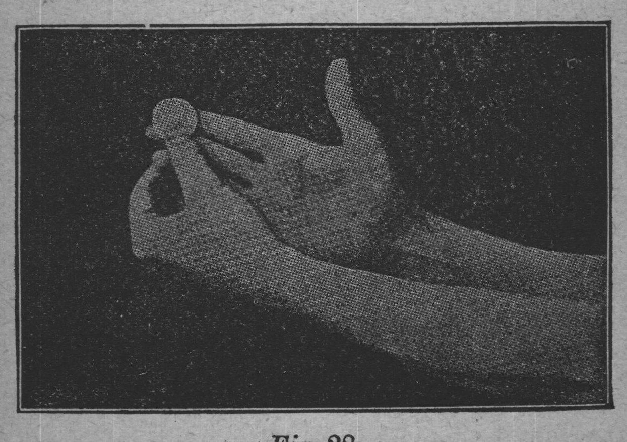 Fig. 28.