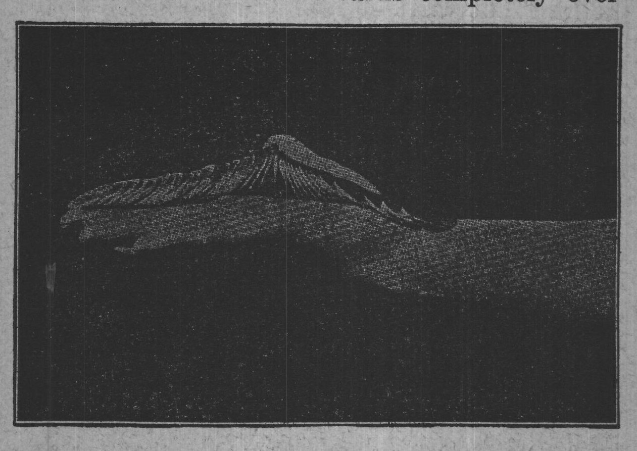 Fig. 31.