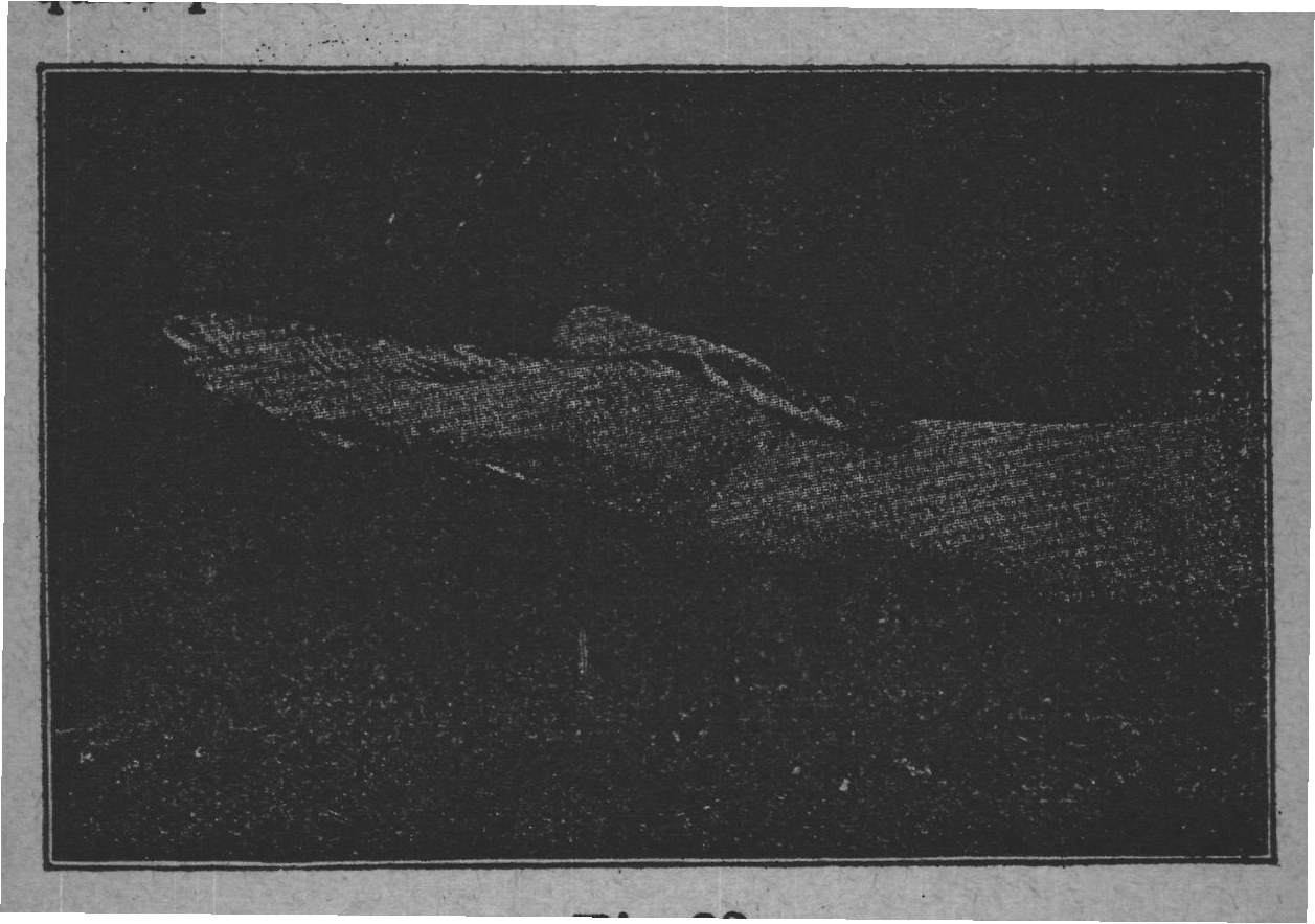 Fig. 32.